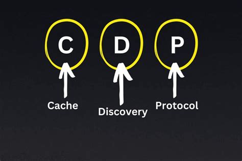 Discovery of a Lee-Enfield cache