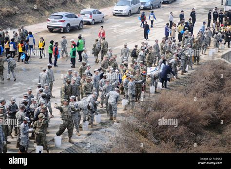 Camp Casey Infantry