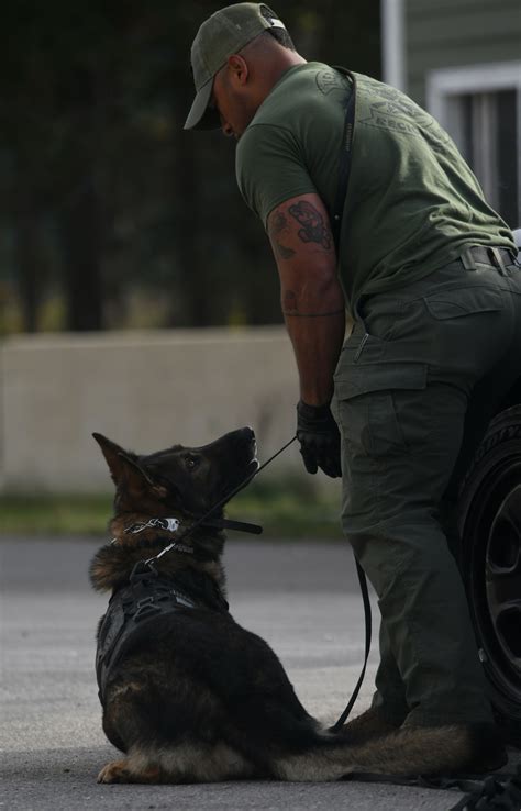 Canine Handler Training Exercise