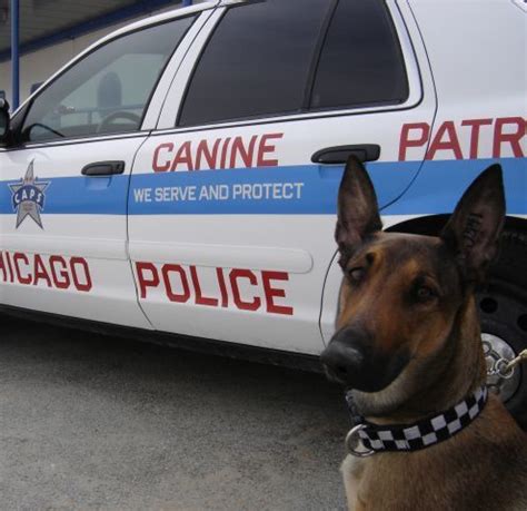 Canine Unit Assignment