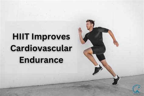 Cardiovascular Endurance