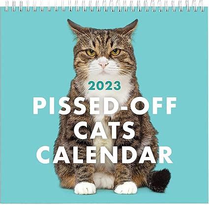 Cat Calendar Ideas and Inspiration