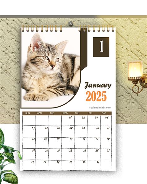 Cat Calendar Printing and Production