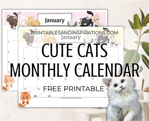 Cat Calendar Templates and Designs