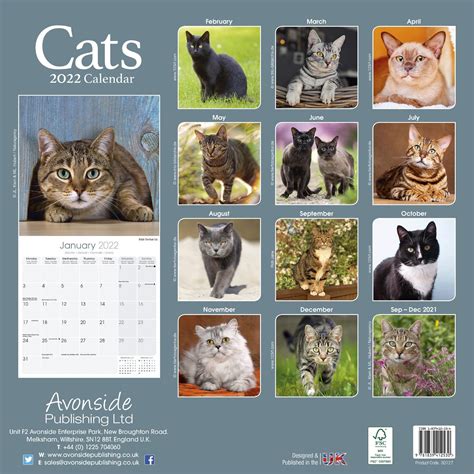 Cat Picture Calendar