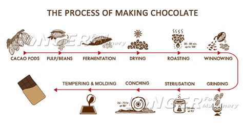 The Chocolate Making Process