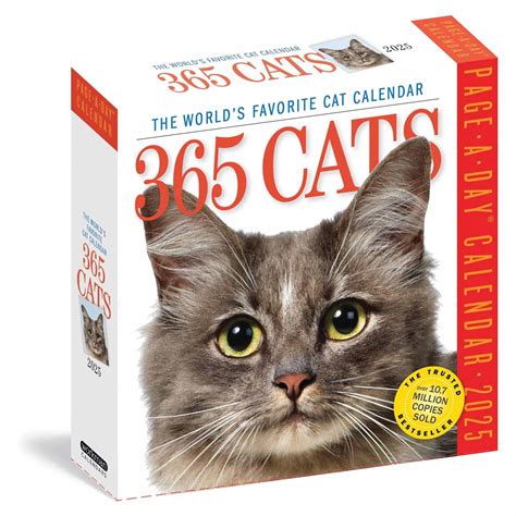 Choosing the Perfect Cat Calendar