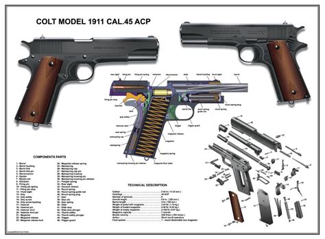 Colt 1911 Design and Features