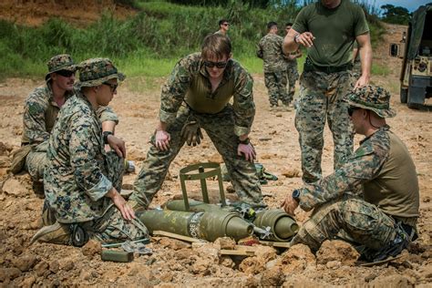 Army EOD Technicians in homeland security operations