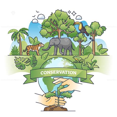 Conservation Efforts Image