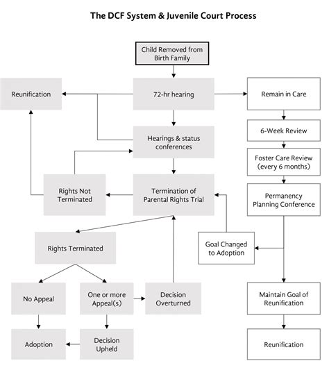 Court Process