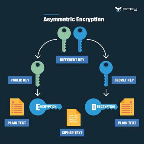 Cryptography and Code-Breaking Operations