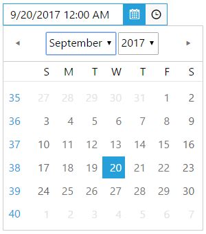 Customizing Calendar Dropdown