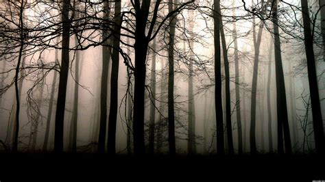 A person walking through a dark forest, symbolizing the unknown