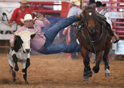 Davie Rodeo Overview