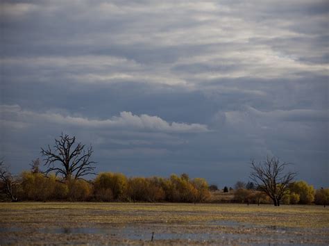 Deer Creek Wildlife