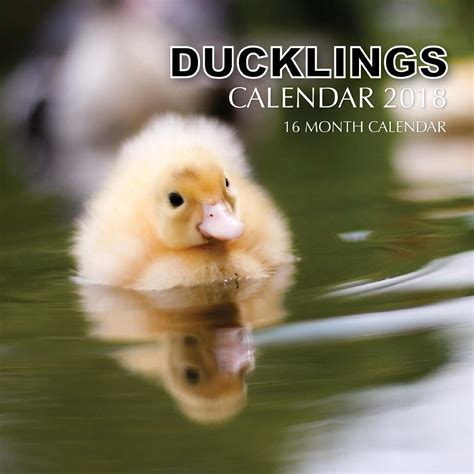 Duck Calendar Creation