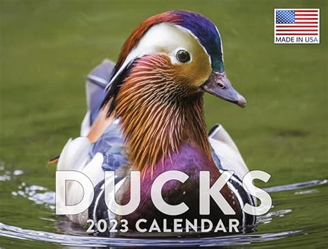 Duck Calendar Designs