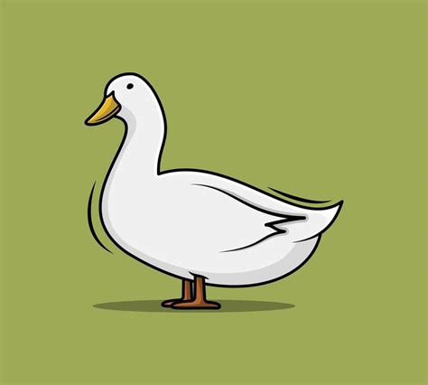 Duck Illustrations