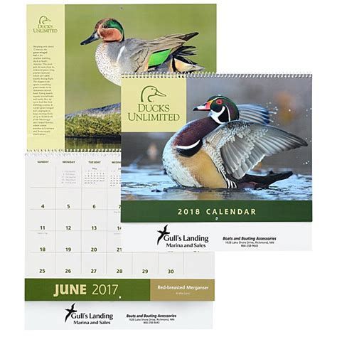 Ducks Unlimited Calendar Image