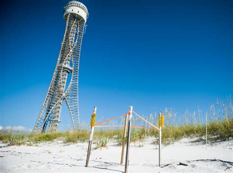 Eglin Air Force Base Environmental Impact