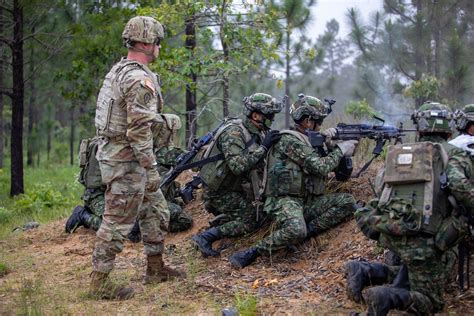 Soldados del Ejército de EE. UU. en entrenamiento