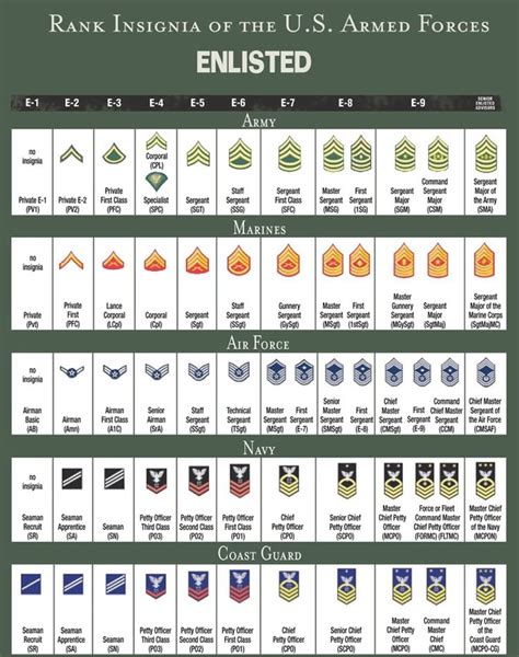 Enlisted Rank Structure