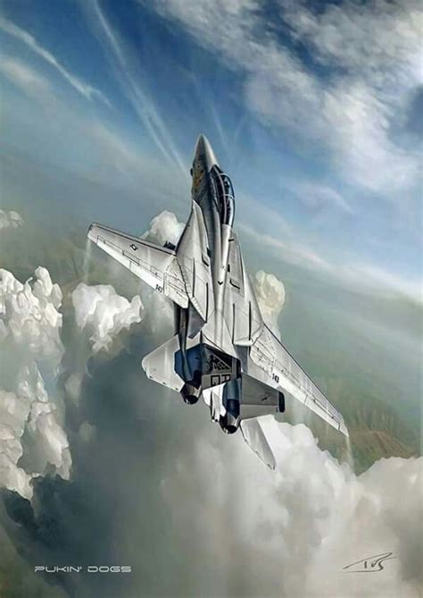 F-14 Tomcat climbing