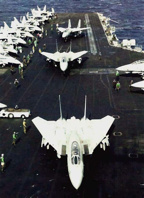 F-14 Tomcat variant