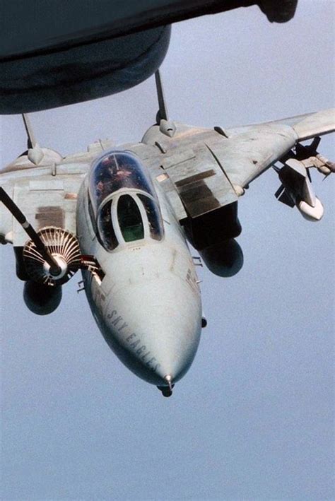 F-14 Tomcat in flight