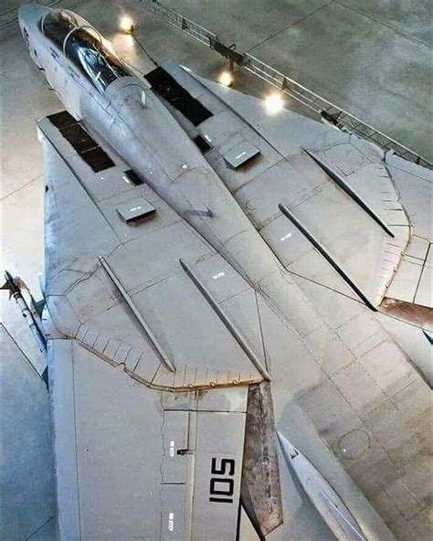 F-14 Tomcat's variable sweep wing