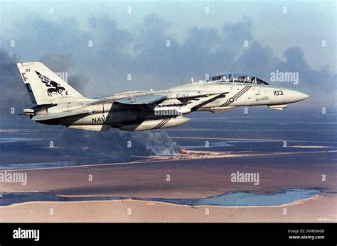 F-14 Tomcat operations