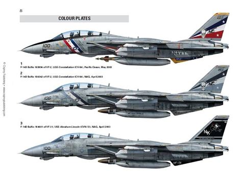 F-14 Tomcat variant