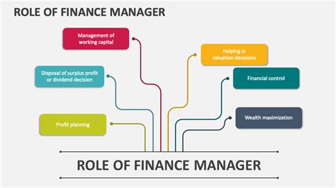 Financial Manager Roles