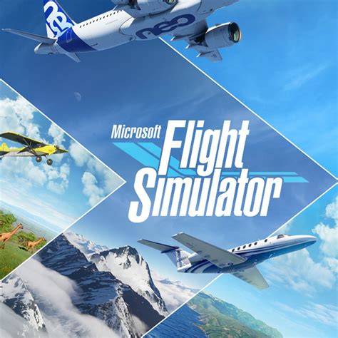 Flight simulator training