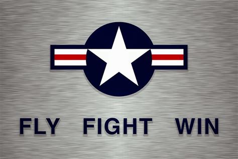 Fly Fight Win Logo