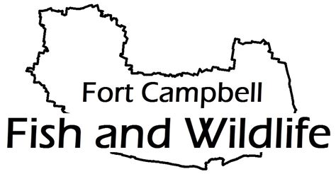 Wildlife corridor at Fort Campbell