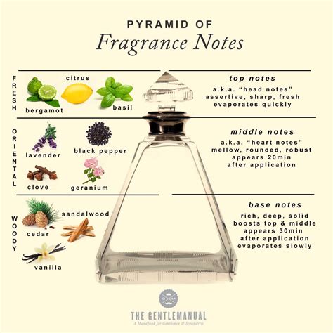 Fragrance Notes