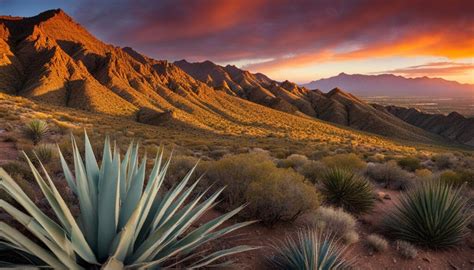 Franklin Mountains Activities