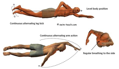 Mastering the front crawl stroke