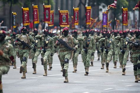 Fuerzas Armadas de México