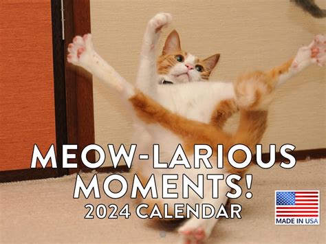 Funny Cat Calendar