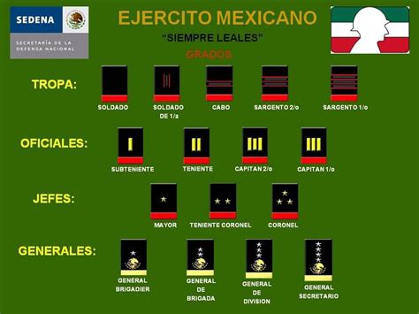 Galones del Ejército Mexicano