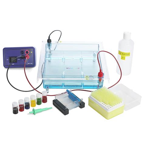 Gel electrophoresis equipment is used to separate and analyze biomolecules