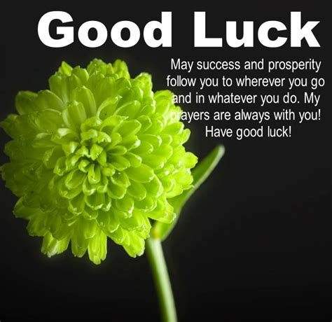 Good Luck Quote