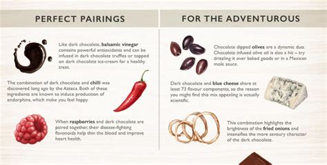 Gourmet Chocolate Pairing Ideas