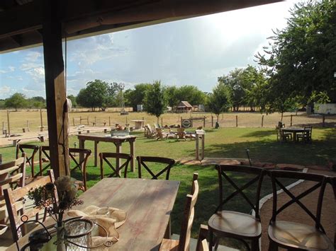 Gruene Hall Patio