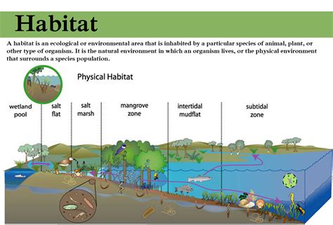 Map of navy gazelle habitats