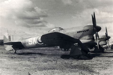 Hawker Tempest Mk V in flight