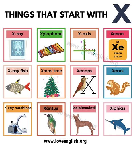 The Origins of X-Words